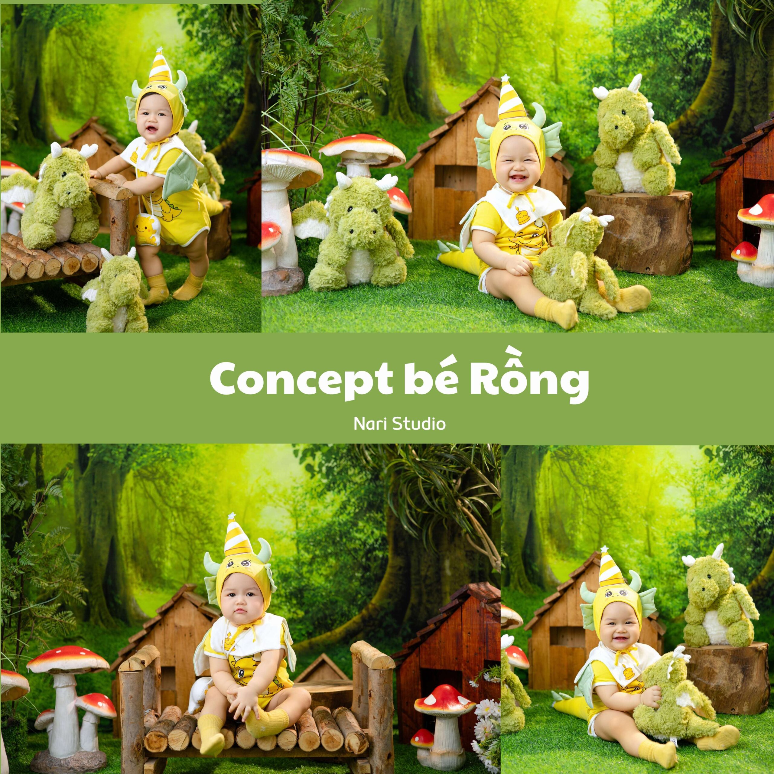 Concept Bé Rồng