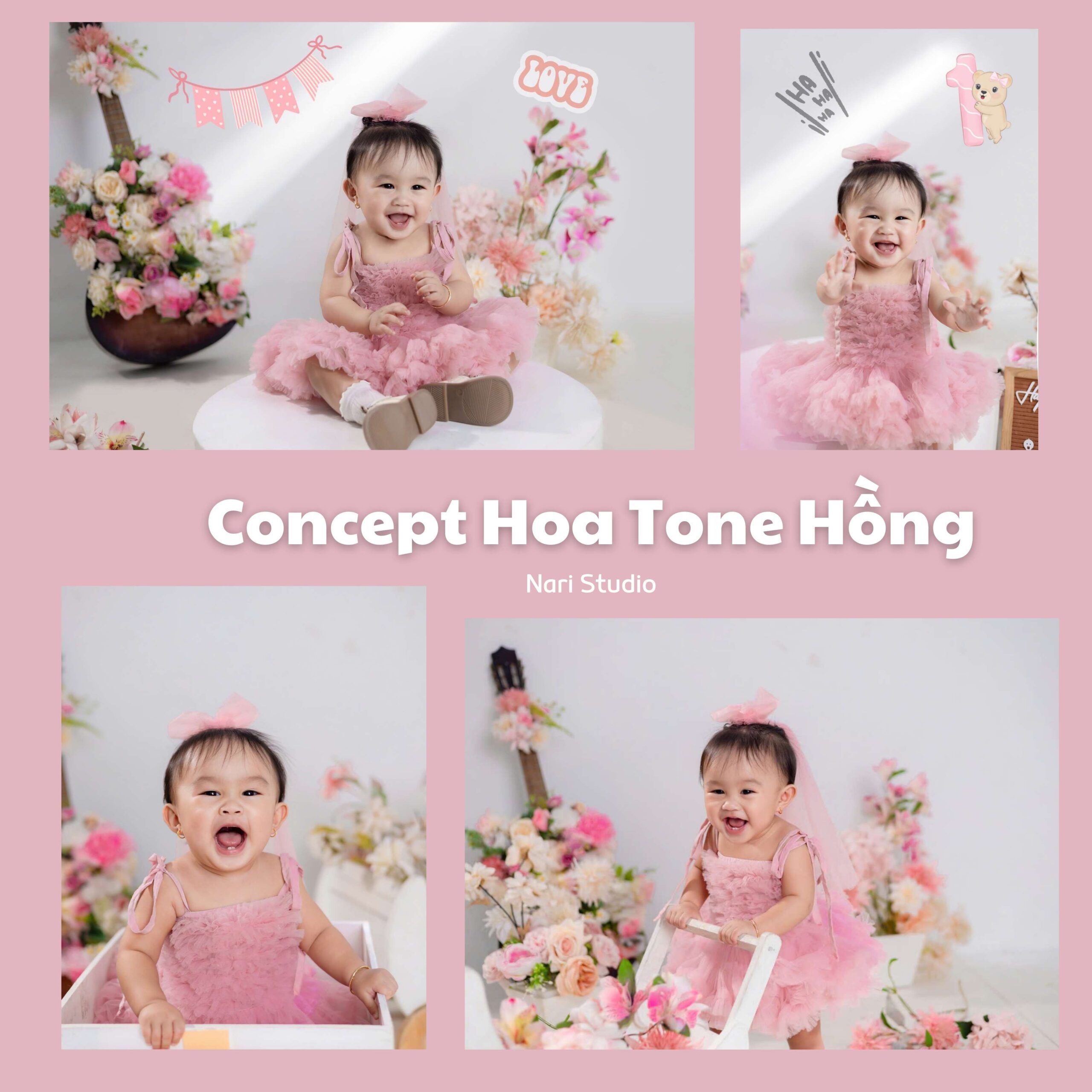 Concept Hoa Tone Hồng